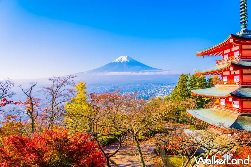 ▲秋天飛日本就是要賞楓,遠眺雄偉雪白的富士山搭配周圍滿滿楓紅與古典五重塔,簡直像走進明信片裡的夢幻絕景,親眼看過一次絕對讓人感動不已。圖/易遊網提供;窩客島整理
