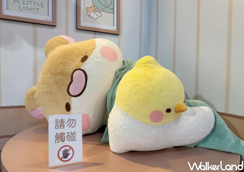 ▲瑪芬角落華山快閃店一次逛!以日系午茶為主題打造打卡牆、造景。(攝影:鄭亦庭)