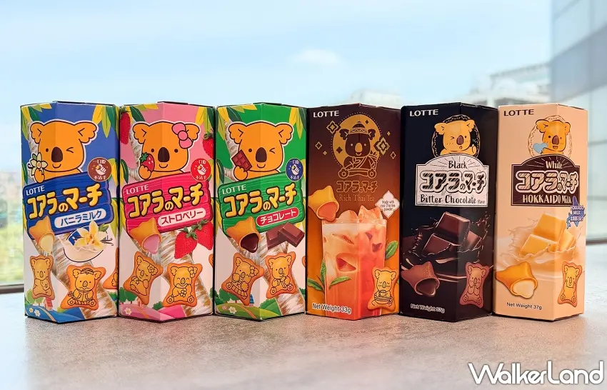 ▲排排站的樂天小熊餅乾多款經典與限定風味一次看,從香濃巧克力、草莓到泰式奶茶應有盡有,滿足所有零食控的甜點胃。圖/樂天製菓提供;窩客島整理