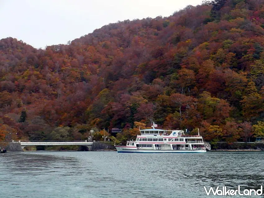 ▲坐上十和田湖遊船吹著微涼秋風,優雅遠眺滿山滿谷黃紅相間的樹林倒映在湖面上,這種無死角的賞楓視角太奢華。圖/可樂旅遊提供;窩客島整理