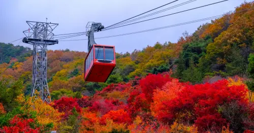 黑白大廚「李美英」獨家餐盒開搶！可樂旅遊日韓賞楓祭優惠，煙火席與秋節絕景一次收解鎖驚喜