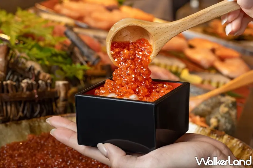 ▲木勺一舀就是滿滿晶瑩剔透的鮭魚卵,豪氣鋪在醋飯上,在嘴裡啵啵爆開的鮮甜口感簡直太犯規。 圖/高雄日航酒店提供;窩客島整理