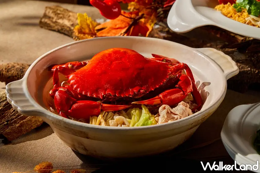 ▲圓苑餐廳「砂煲麻油紅蟳」嚴選特級大紅蟳與黑麻油、老薑慢火煲煮，熱騰騰的麻油香氣撲鼻而來，溫潤湯頭搭配鮮甜蟹肉，天涼時吃上一碗超暖胃。圖／圓山大飯店提供；窩客島整理
