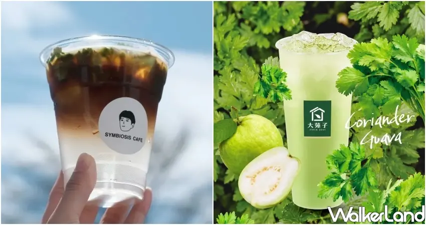 ▲大苑子推出香菜芭樂特調,帶來前所未有的草本風味清涼飲品體驗。