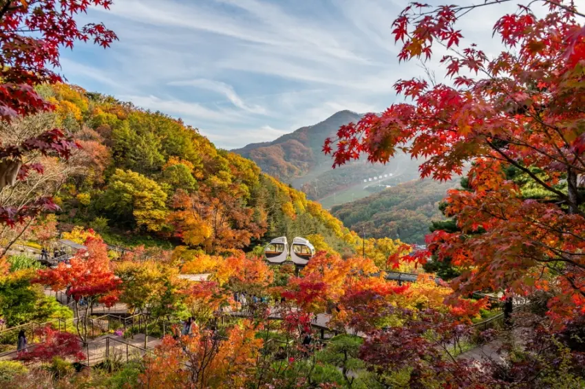 ▲韓國山林廳最新公布2026年楓紅預測,預估全國賞楓巔峰期落在10月下旬。