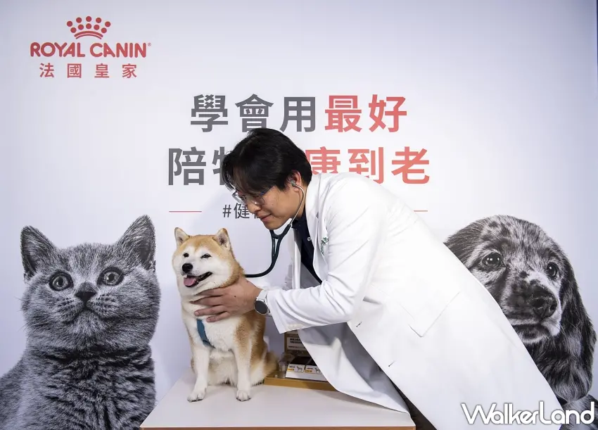 ▲定期健檢不只是等到毛孩不舒服才去看醫生,興沛動物醫院許傳忠院長提醒,提早建立專屬健康基準,未來身體出現變化時,也能讓獸醫師進一步比對與判斷。圖/法國皇家提供;窩客島整理