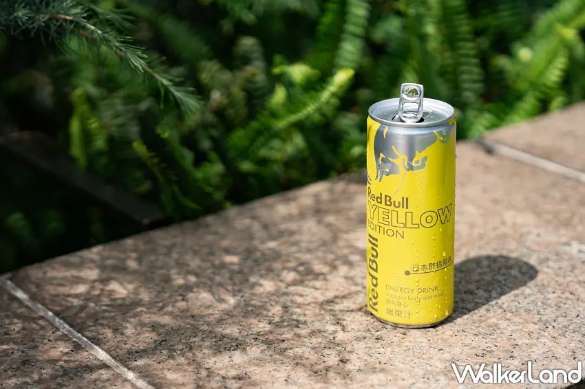 ▲亮黃色Red Bull Yellow Edition單罐就很吸睛,日本酢橘風味以鮮明酸香為主角,再帶出萊姆與淡淡柚香,冰冰喝更適合替午後換個清爽口味。圖/Red Bull提供;窩客島整理
