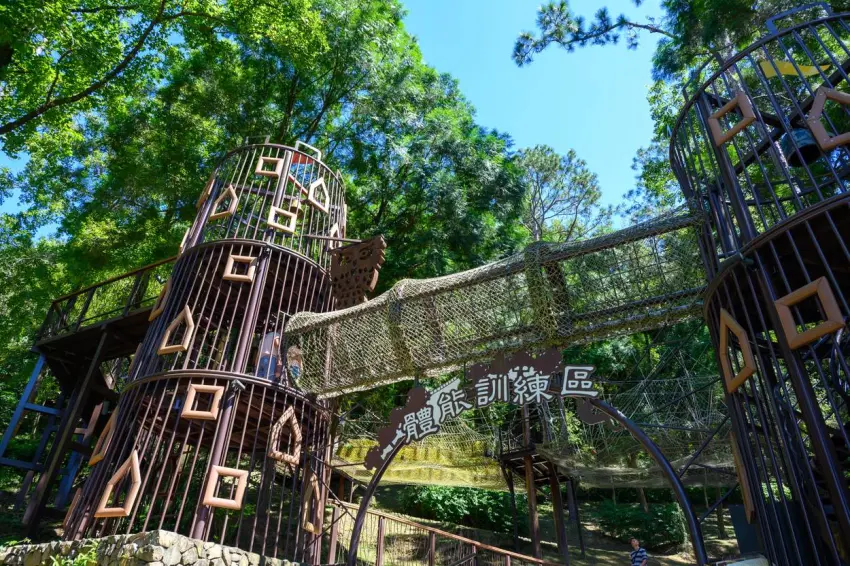 ▲東勢林場遊樂區國慶期間穿國旗裝打卡免費入園,歸國僑胞同行親屬160元。