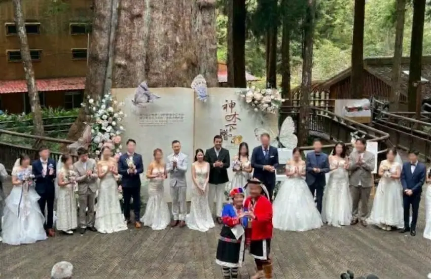 ▲阿里山賓館整合在地特色與豐富旅遊資源,攜手阿里山國家風景區管理處推出阿里山神木下婚禮。