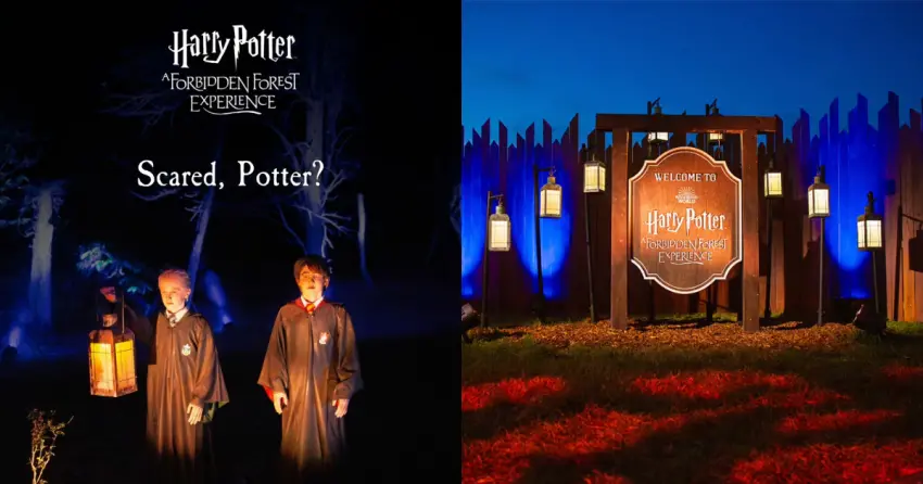 ▲風靡全球的《哈利波特:禁忌森林體驗(Harry Potter™: A Forbidden Forest Experience)》終於確定在南韓盛大開展。