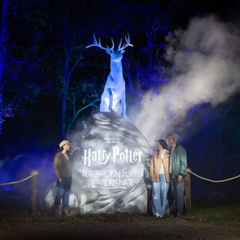 ▲《哈利波特:禁忌森林體驗(Harry Potter™: A Forbidden Forest Experience)》預計將於2026年12月17日起在南韓濟州島正式開幕。