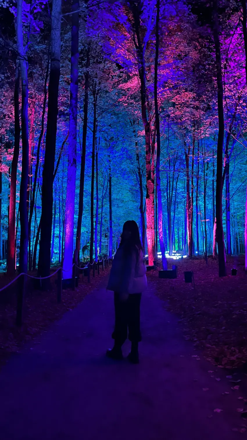 ▲這個曾在全球 16 個城市吸引數百萬名觀眾的夜間互動體驗首度移師南韓,將濟州島光影主題公園的戶外空間化為神祕禁忌森林。