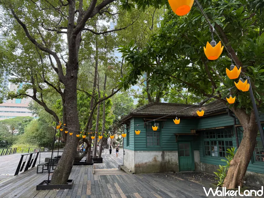 ▲松菸同步點亮超美黃色VIP皇冠燈海廊道,粉絲們來松菸絕對要拍。(攝影:鄭亦庭)