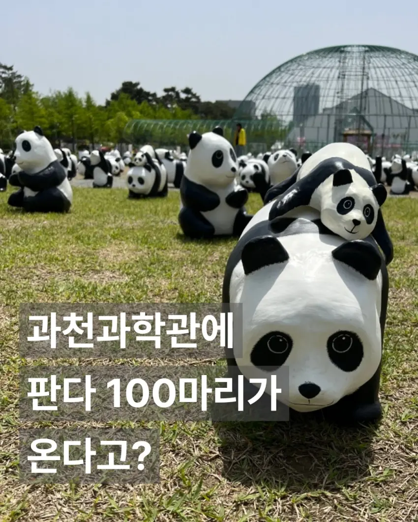 ▲韓國國立果川科學館特別打造了可愛度滿分的熊貓主題盛會,透過萌感十足的大熊貓號召力,帶領大家關注全球生物多樣性與生態保育議題。