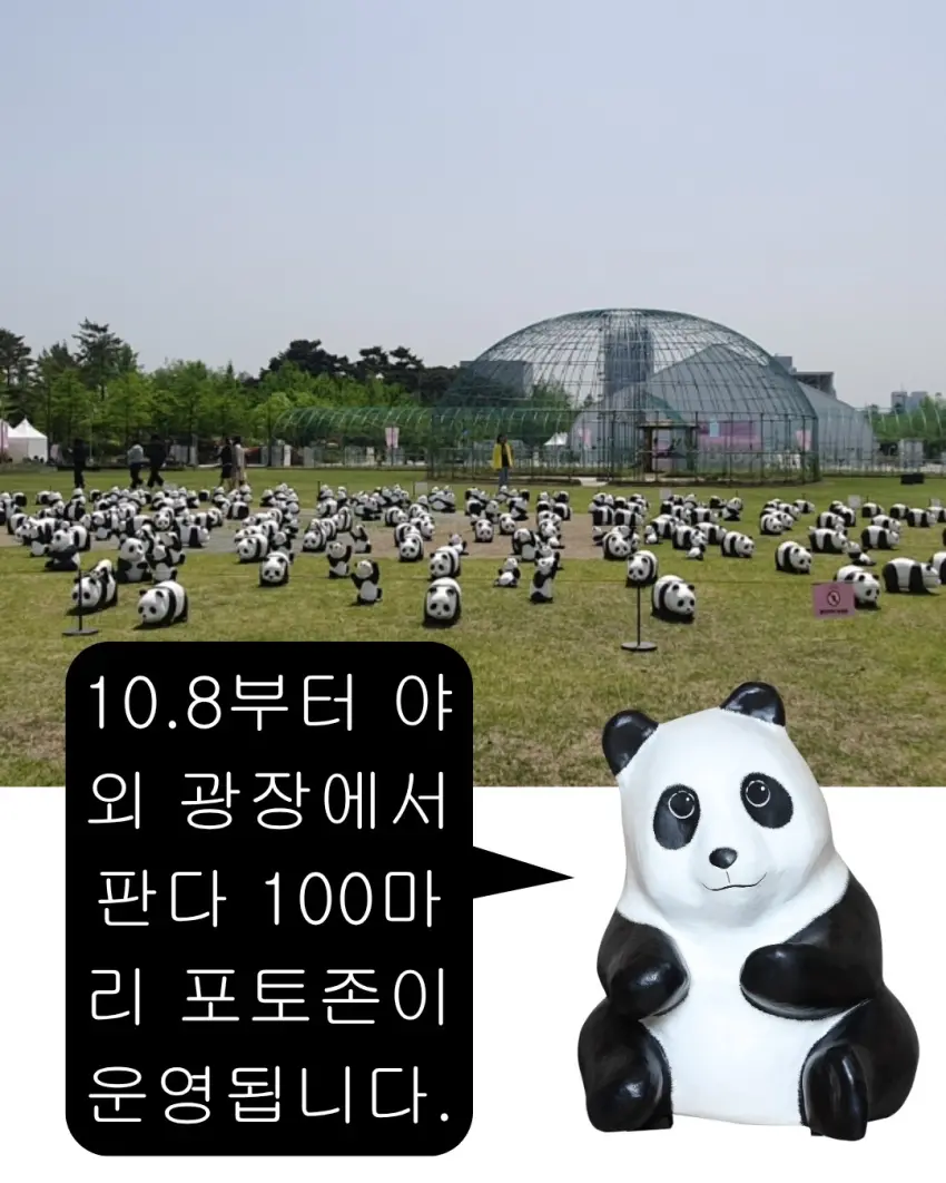▲戶外廣場上100隻紙熊貓錯落分佈在草坪上,成為隨手拍都好看的熱門打卡點。