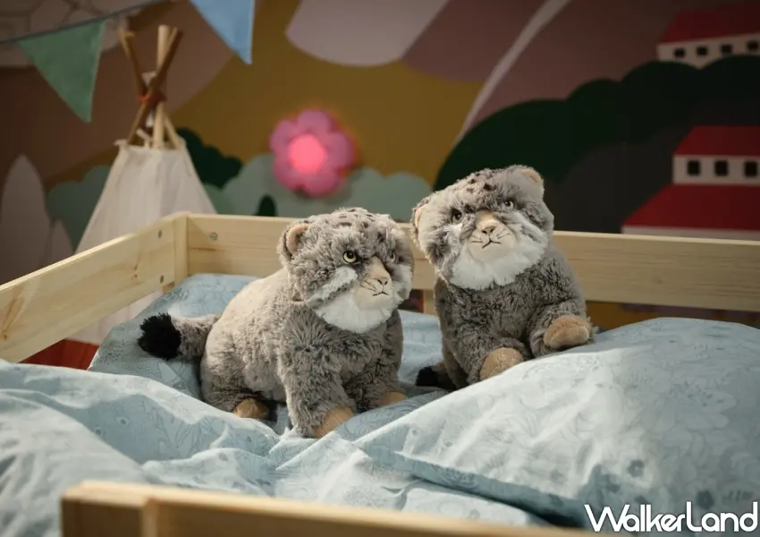 ▲IKEA ALPTALL帕拉斯貓填充玩具還原招牌厭世臉與圓滾滾身型。