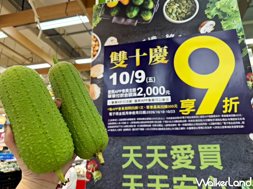 ▲單手掌握滿滿沉甸甸感,外皮翠綠又翠綠的鮮嫩絲瓜每條49元,切塊清炒或是煮絲瓜蛤蜊,入口清甜爽口,是連假家庭聚餐必備的清爽好菜。圖/愛買提供;窩客島整理