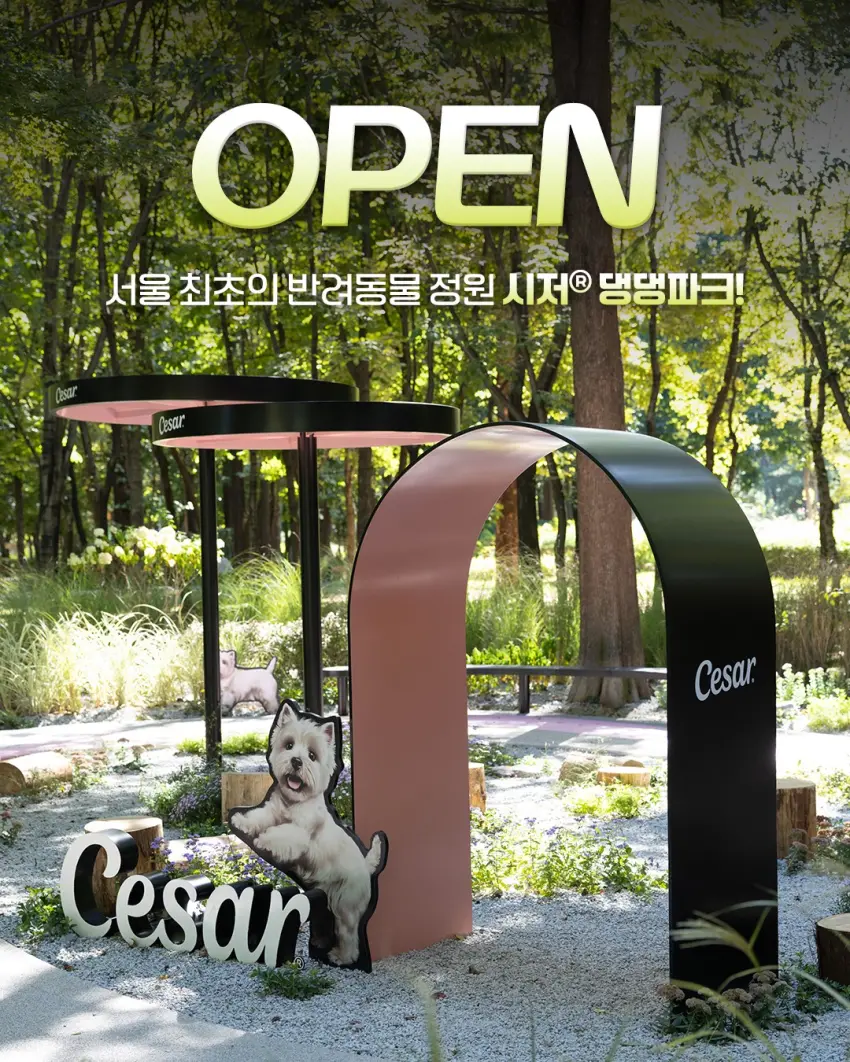 ▲首爾首座寵物花園開幕!座落於梅軒市民之林的「西莎® DangDang Park」與「搖尾巴花園」,成為首爾最新的寵物友善綠洲。