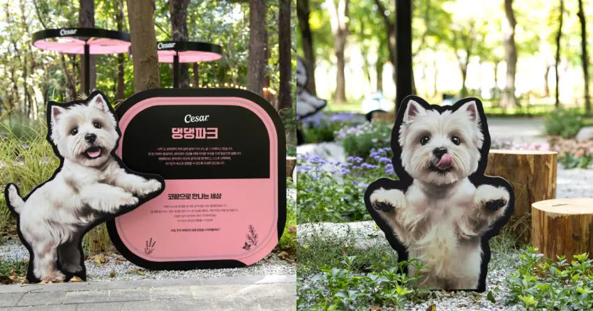 ▲首爾首座專為毛孩打造的寵物花園,串聯嗅覺植栽、專屬藍黃花海與貼心休憩設施,讓狗狗與飼主能一同享受放慢腳步的質感散步時光。