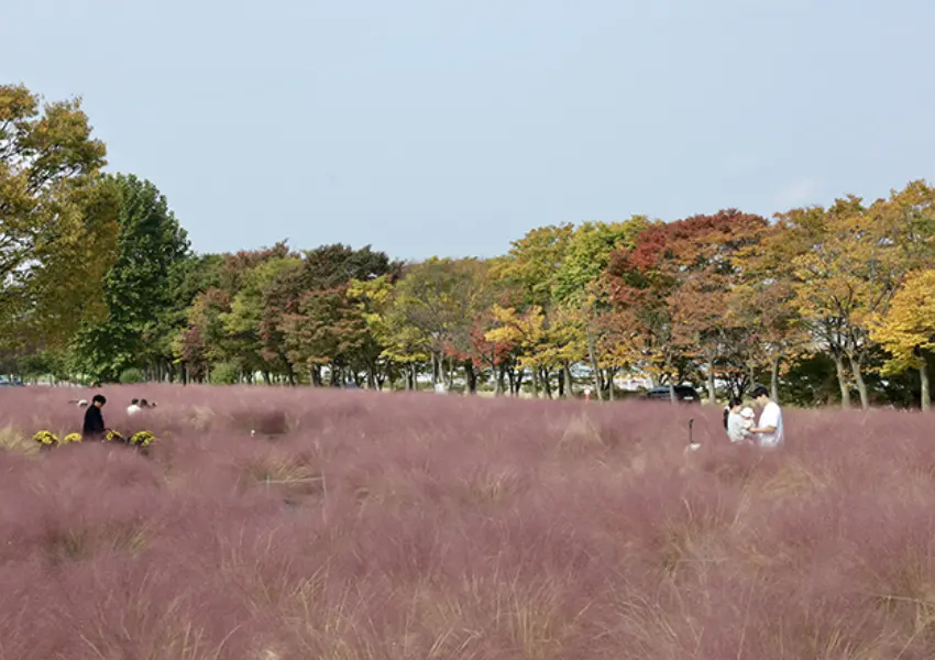 ▲串聯光明Speedom與渼沙競艇公園,騎著自行車穿梭於環湖步道,解鎖充實的首爾近郊一日遊。