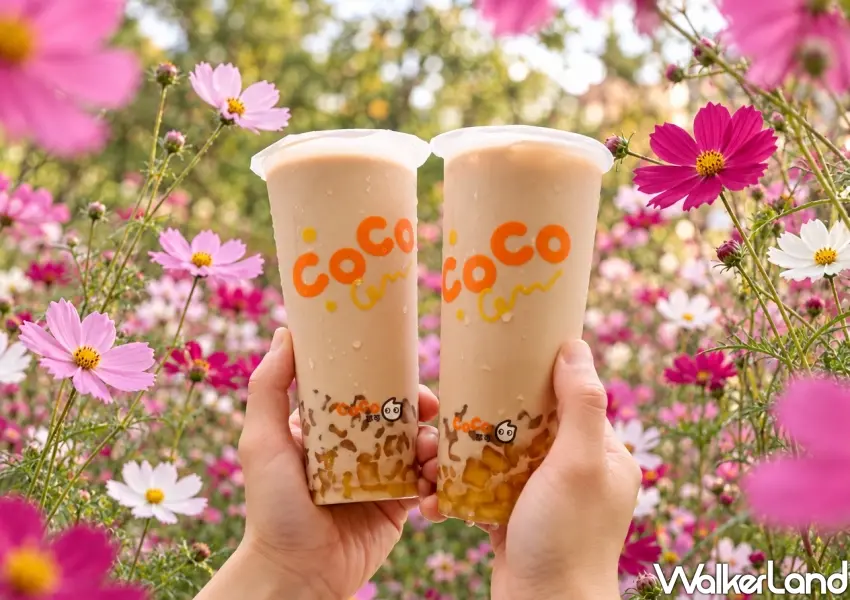▲秋日微涼氣候最適合來一杯手搖飲料,CoCo都可推出粉角奶茶買一送一限時折扣,滿滿金黃粉角搭配經典阿薩姆奶茶,成為手搖控最愛的銅板價下午茶選擇。