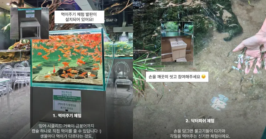 ▲現場提供膠囊餵魚與親親魚體驗,搭配尿布台與兒童餐椅等完善設施,親子友善滿分。
