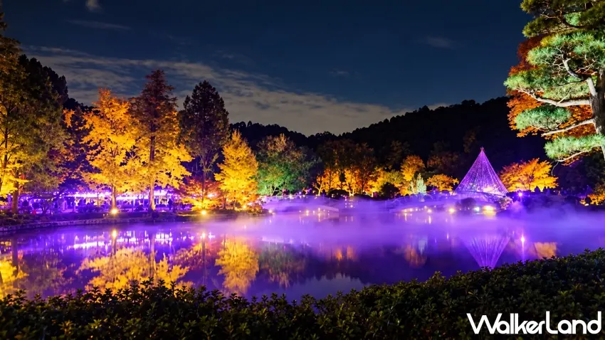 ▲東京賞楓晚上更有看頭。町田藥師池公園的紅葉在燈光照射下染上金黃與橘紅色,湖面倒映整片璀璨秋景,搭配紫色光影與緩緩飄散的人工雲海,彷彿走進夢幻仙境。11月14日起限定登場,想拍夜間紅葉美照可別錯過。圖/町田藥師池公園提供;窩客島整理
