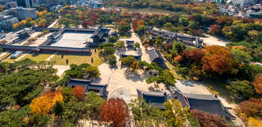 ▲俯瞰秋意濃厚的昌慶宮全景,古典殿閣錯落於層林盡染的楓紅與金黃銀杏之間,盡顯古樸自然的秋日浪漫。
