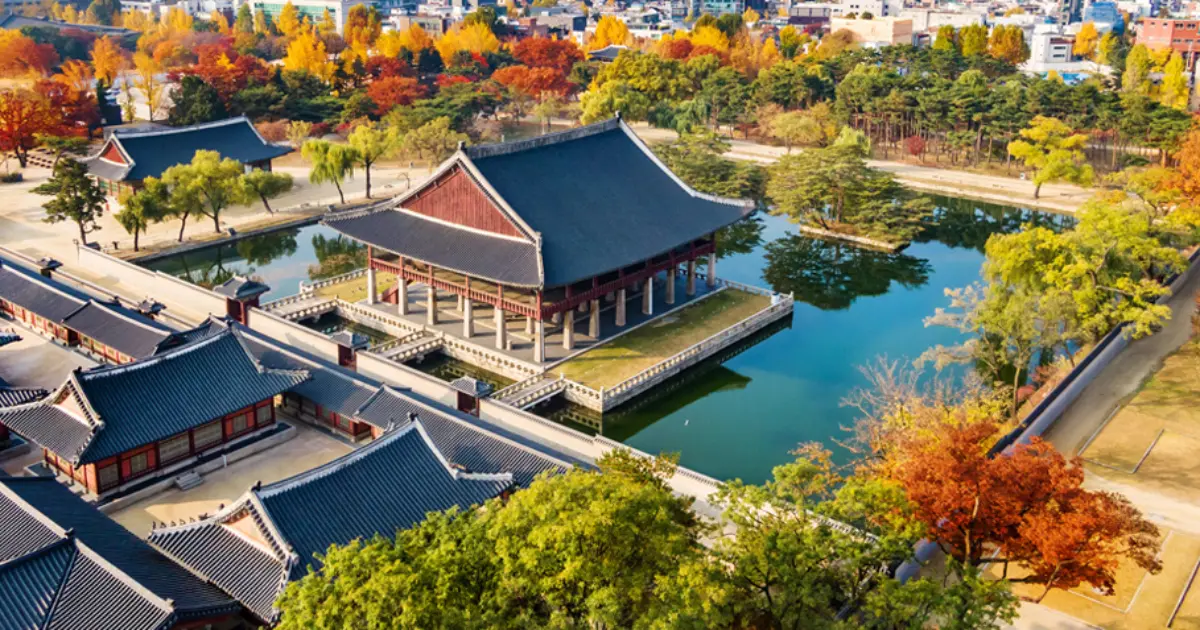 不只景福宮！首爾四大宮殿免費逛，昌慶宮絕美夜間燈光秀、世界遺產宗廟免門票自由入場