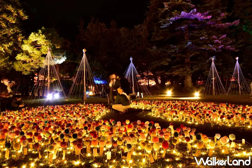 ▲這片會發光的彩色花海也太可愛!弘前城三之丸庭園以居民手作的毛線乒乓菊打造繽紛花田,紅色、黃色與橘色小花在夜間燈光映照下閃閃發亮,搭配周圍秋季樹景,讓整座庭園充滿童話般的浪漫氣氛。圖/弘前市提供;窩客島整理