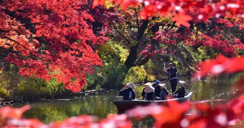 日本青森賞楓太夢幻！弘前城3,700棵櫻花楓樹染上秋色，夜間竹燈光雕、紅葉遊船10天限定登場