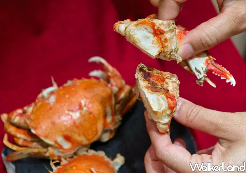 ▲「極鮮雙蟹粥」嚴選帶膏螃蟹現點現煮,輕易能剝出飽滿蟹肉與香醇蟹膏,滿足饕客解饞心願。(攝影:鄭雅之)