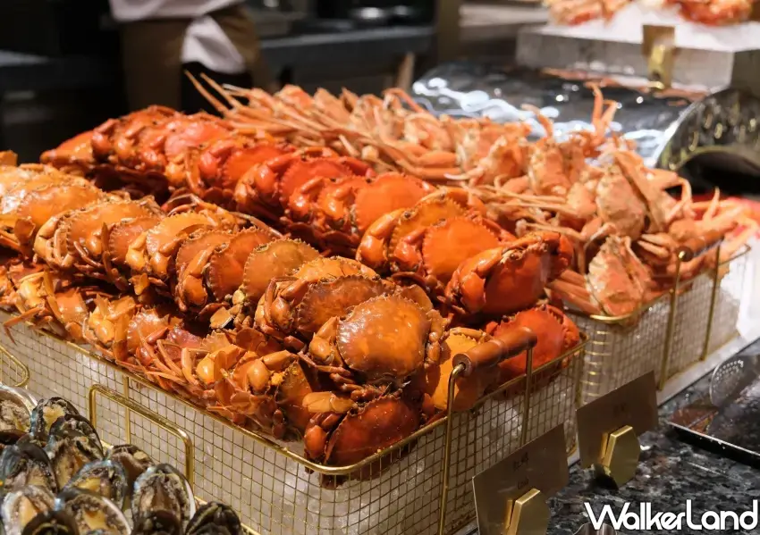 ▲「鮮」區滿載霸氣海味,島語台北大巨蛋將於11/19開幕,提供極致鮮甜的螃蟹與冷盤海鮮,是海鮮控必吃亮點。(攝影:鄭雅之)