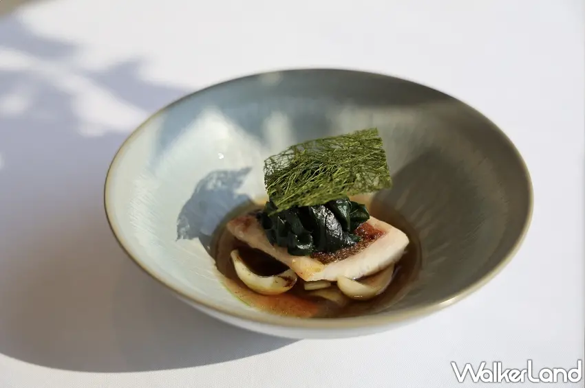 ▲北投經典酒家菜也能變身精緻歐陸料理！北投麗禧C’est Bon歐陸餐廳將傳統魷魚螺肉蒜融入「季節鮮魚佐魷魚螺肉蒜」，鮮魚搭配魷魚、螺肉與湯汁，點綴深綠色食材與薄脆裝飾，從食材組合到盤飾都充滿巧思。入住一泊二食方案，就能選擇價值3,080元的法式晚間套餐。圖／北投麗禧溫泉酒店提供；窩客島整理