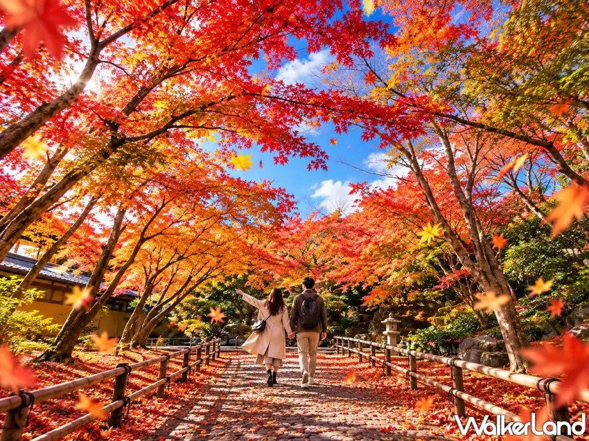 ▲大阪秋天美到讓人捨不得離開!大阪城公園楓葉染上火紅、橘黃與金黃色彩,漫步在鋪滿落葉的步道上,抬頭就是層層交織的紅葉美景,隨手都能捕捉浪漫秋日風景。圖/捷絲旅提供;窩客島整理