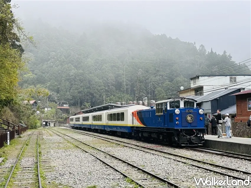 ▲藍色車頭搭配復古風格車廂,穿梭在阿里山雲霧繚繞的山林間,光是搭車就充滿旅行儀式感。雄獅旅遊「栩悅號」嘉義行程串聯特色列車、阿里山五感森林療癒與達娜伊谷生態體驗,讓台灣深度慢旅多了不同玩法。圖/雄獅旅遊提供;窩客島整理
