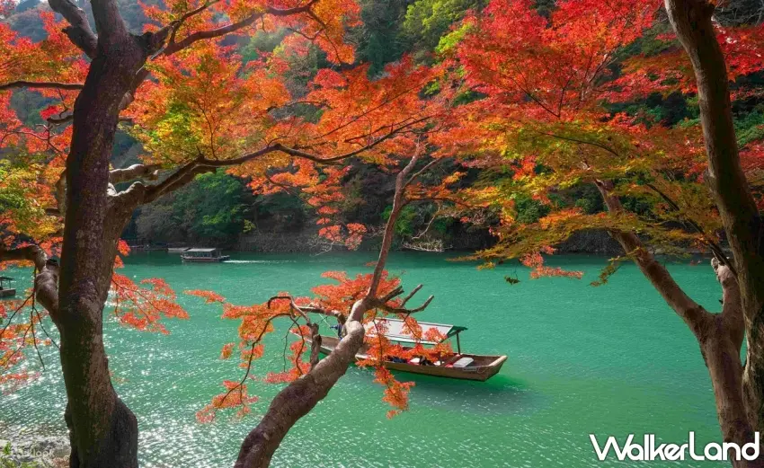 ▲京都嵐山的秋天根本美成明信片！整片火紅楓葉沿著大堰川展開，搭配碧綠河水與緩緩行駛的小船，紅葉與山水交織出超浪漫的秋季風景。想把京都經典賞楓景點一次收進行程，這片河岸美景絕對值得收藏。圖／Klook提供；窩客島整理
