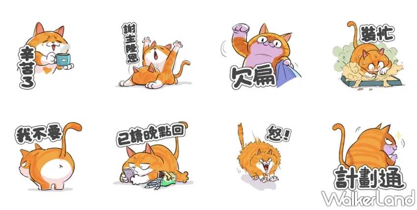 ▲橘貓的職場厭世日常根本是上班族心聲!從「欠扁」、「裝忙」到「我不要」、「怒」,每個動作都讓人忍不住會心一笑,尤其「已讀就點回」更適合拿來形容工作群組裡的無奈瞬間。圖/窩客島整理