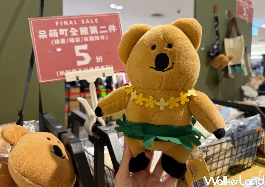 ▲韓國超人氣DINOTAENG矮袋鼠周邊推出第二件5折,包含玩偶、吊飾與保溫瓶等。(攝影:鄭亦庭)