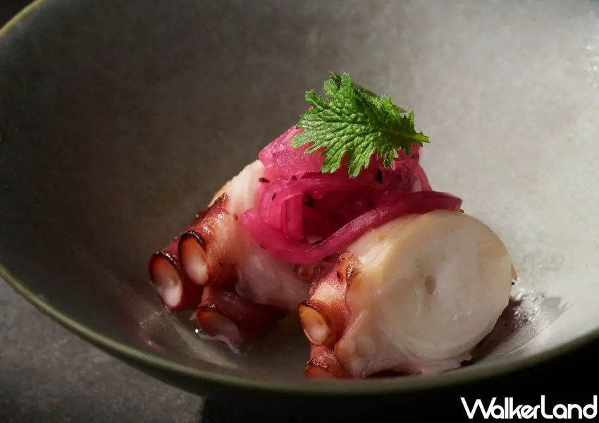 ▲柔煮章魚口感鮮嫩彈牙,佐紫蘇與酸香漬菜清新提味解膩。