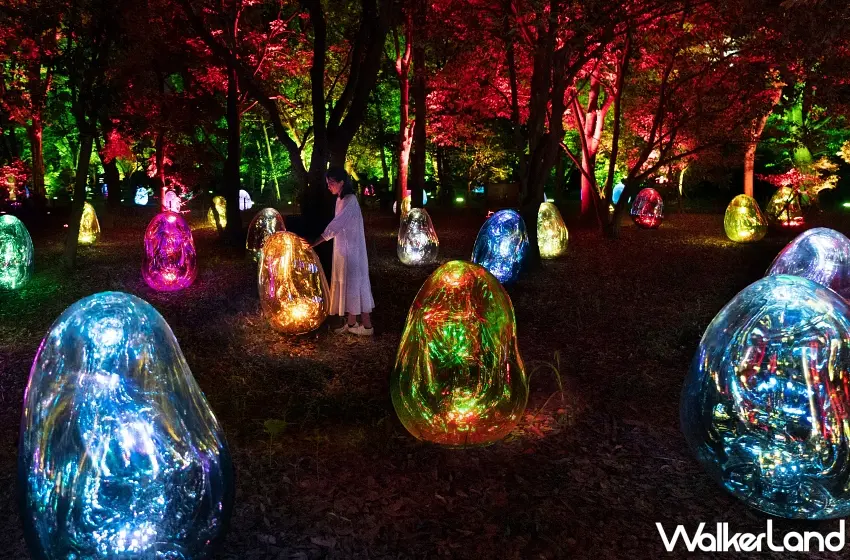 ▲這片會發光的森林根本是東京夜間打卡亮點!teamLab「共鳴小宇宙」讓一顆顆卵形裝置散落樹林間,閃耀藍色、粉紅色、金色與綠色光芒,只要輕輕推動,就能看見光影與聲音接連傳遞,彷彿整座森林都跟著甦醒。圖/teamLab提供;窩客島整理