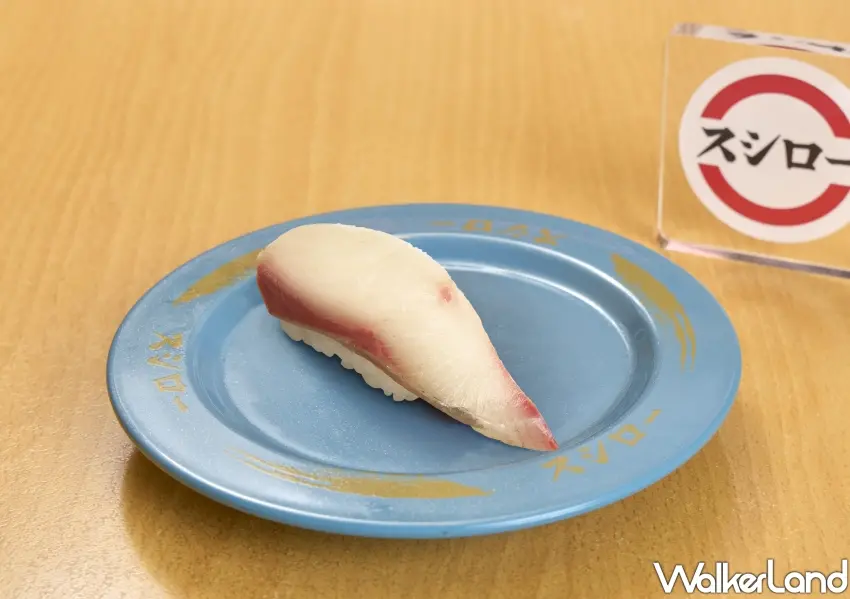 ▲日本限量直送的壽司郎活締鰤平,融合鰤魚豐厚脂香與平政魚緊實彈性,透過活締處理鎖住極致鮮度。