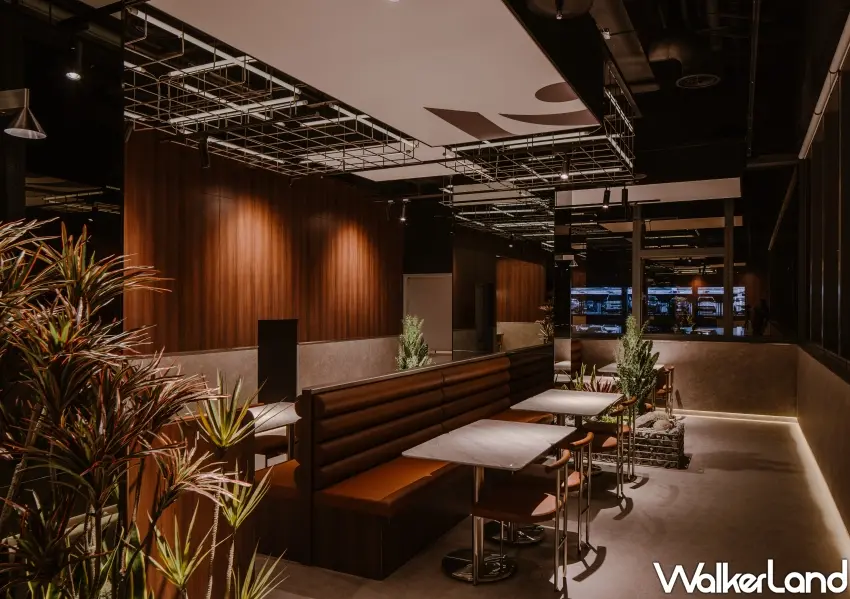 ▲新店門市融入旱生植栽與焦糖色沙發,透過柔和燈光營造適合親子與毛孩自在相聚的放鬆角落。
