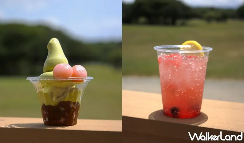 ▲福岡賞花還能吃限定甜點。海之中道海濱公園推出掃帚草聖代,抹茶霜淇淋搭配微苦焙茶果凍與粉嫩糰子,另一款紅色掃帚草氣泡飲也超吸睛,賞完紅色花海再來一份剛剛好。圖/海之中道海濱公園提供;窩客島整理