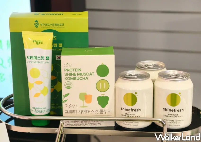 ▲慶尚北道麝香葡萄不僅能鮮採單吃,更被延伸製作成氣泡飲、果醬與康普茶等多樣化精緻加工商品。