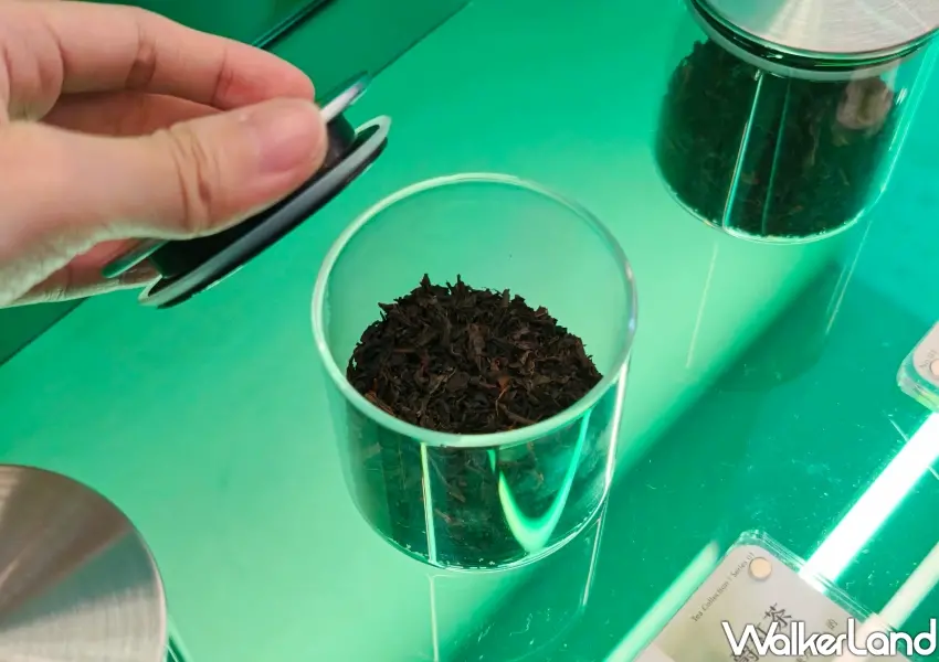 ▲迷客夏3.0門市特別貼心設置茶葉試聞瓶體驗區,讓顧客能親自感受優質原葉的純正茶香。(攝影:鄭雅之)