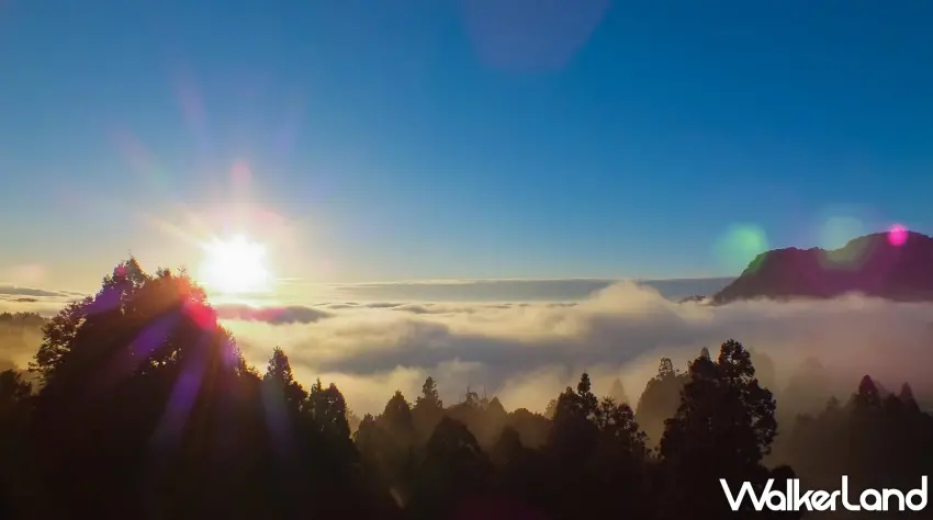 ▲新春早起看日出,太陽從雲海上方探出頭的那一刻,天空瞬間被染上金色光暈,整片雲海像鋪了一層軟綿綿的棉花。入住阿里山賓館,就近前往小笠原山與祝山迎接羊年第一道曙光,這種畫面不用濾鏡,現場看就夠震撼。圖/阿里山賓館提供;窩客島整理
