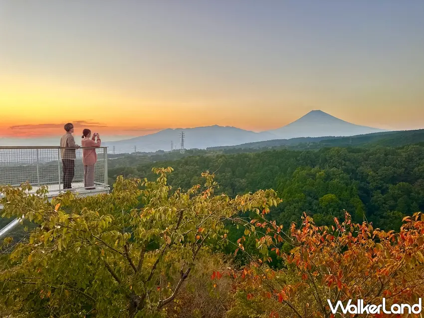 ▲夕陽把天空染成溫柔的金橘色,遠方富士山清楚入鏡,站在SKY CROSS觀景台上,連綿山巒與秋季樹林一次收進眼底,這畫面真的值得多停留一會兒。圖/三島天空步道提供;窩客島整理