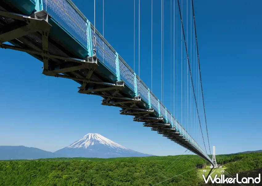 ▲這就是三島天空步道最經典的視角!400公尺長的吊橋橫跨綠色山谷,遠方富士山清楚可見,白色山頂與藍天形成鮮明對比。等到11月中旬紅葉季,更能期待山林換上秋色的景象。圖/三島天空步道提供;窩客島整理