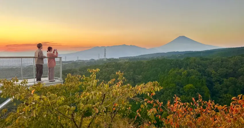日本賞楓別只去京都！靜岡400公尺天空吊橋11月紅葉登場，富士山、駿河灣一次看，下午3點後入場再送限定明信片